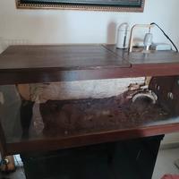 Terrario per tartarughe e rettili 