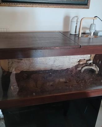 Terrario per tartarughe e rettili 