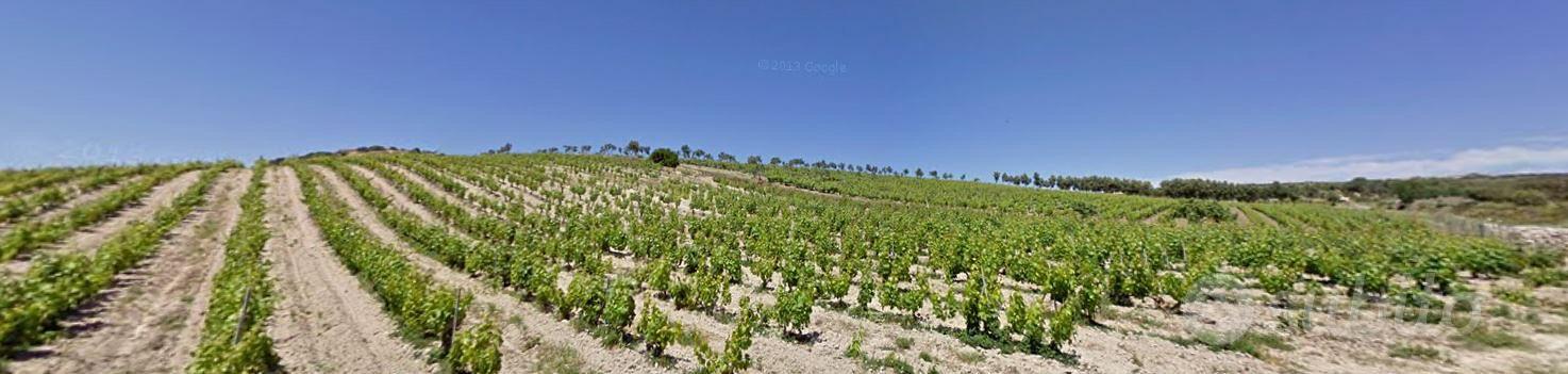 Terreno Agricolo (edificabile) - Vista 2