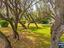Immagine 28