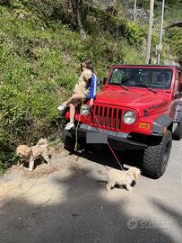 Jeep wrangler tj 4000