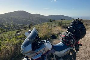 Transalp 600 - Unicorn - 50th Anniversary
