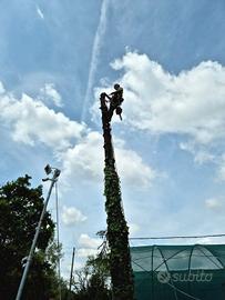 tree climbing