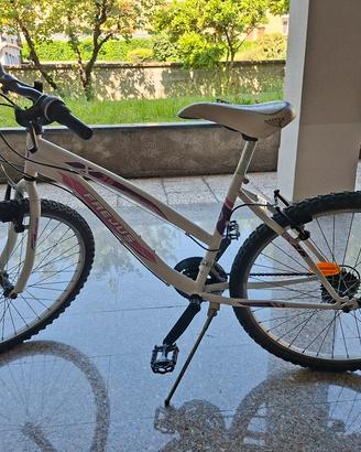 Bicicletta Mountain Bike Bambino/a 26