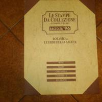 Stampe da Collezione 5