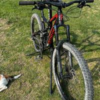 Da guardare attentamente