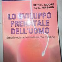Lo sviluppo prenatale dell'uomo