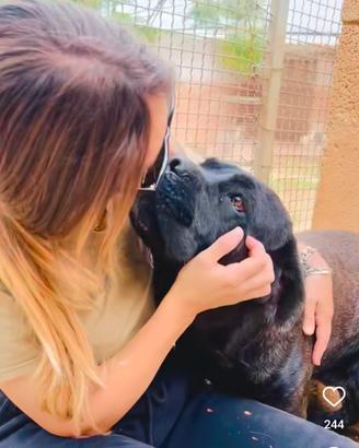 Il nostro gigante buono