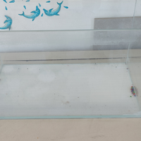 Aquario 40x22x25 cm con accessori