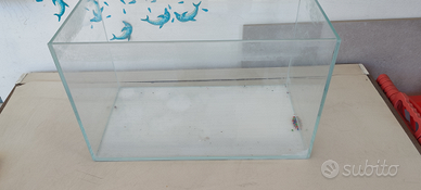 Aquario 40x22x25 cm con accessori