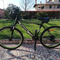mountain bike kawasaki 26