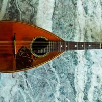 Mandolino Raffaele Calace