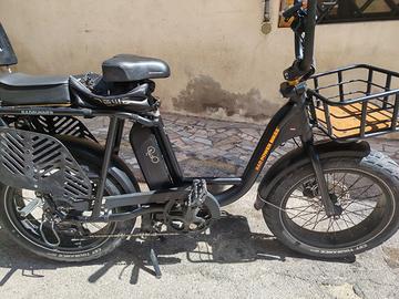 Bicicletta elettrica rad runner 2