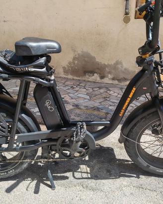 Bicicletta elettrica rad runner 2