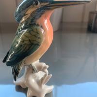 KARL ENS - Martin Pescatore (KingFisher)