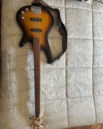 Basso elettrico con amplificatore