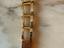 Immagine 6