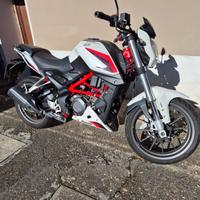 Benelli BN 251 - 2017