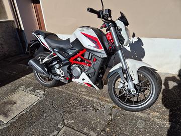 Benelli BN 251 - 2017