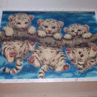 QUADRI DIAMOND PAINTING "TIGROTTI"