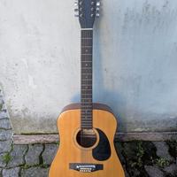 Chitarra 12 Corde Hondo 2 a Vicenza