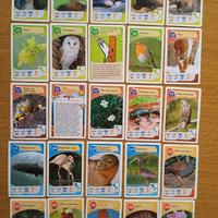 FIGURINE AVVENTURE NELLA NATUTA COOP 2012 a scelta