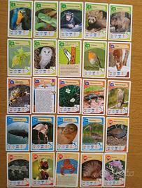 FIGURINE AVVENTURE NELLA NATUTA COOP 2012 a scelta