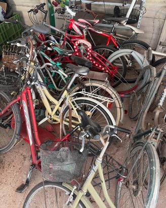 Varie biciclette