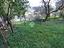 Immagine 29