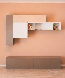 mobile tv 
