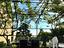 Immagine 28