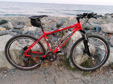 Mountain bike mtb Shockblaze R7