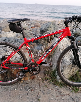Mountain bike mtb Shockblaze R7