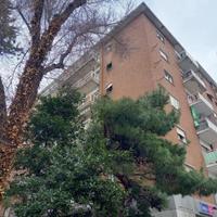 Rif.24136| appartamento bilocale