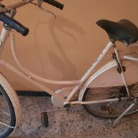 Bici olandese limburgia