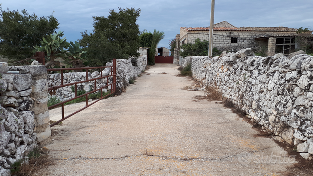 Campagna agricola