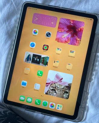 Ipad 11 di safaa