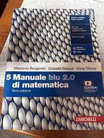 5 manuale blu 2.0 di matematica terza edizione