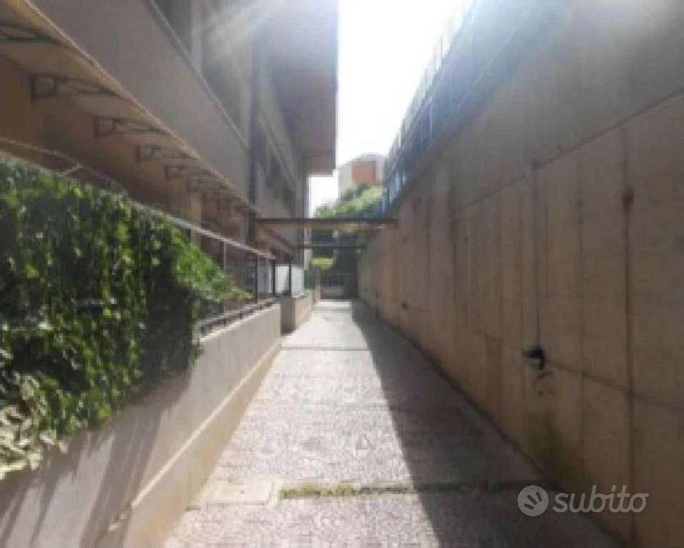 Appartamento – Monte Porzio Catone, Roma Capitale - Vista 4