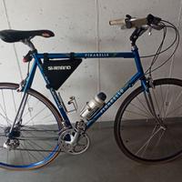 Pinarello Dolmen anni 90