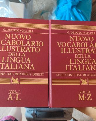 dizionario e enciclopedia 
