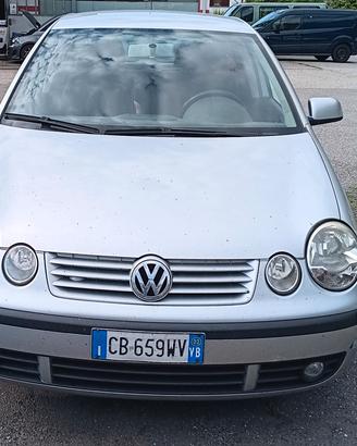 autovettura volkwagen polo