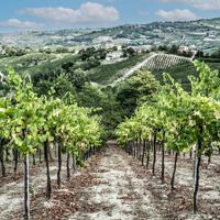 Terreno edificabile e agricolo
