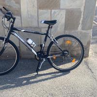 Bicicletta per adulti