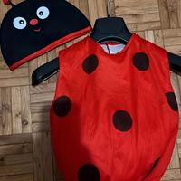 vestito carnevale coccinella 