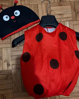 vestito carnevale coccinella 