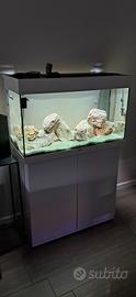 Acquario Juwel Rio 125