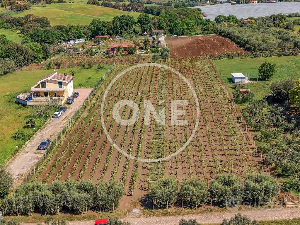 Terreno di 5400 m² a Lanuvio - Vista 2