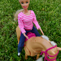Lolly Riding Club