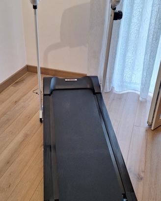 tapirulan magnetico